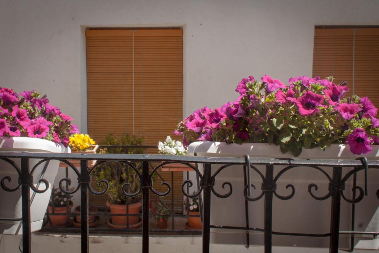 Casa Amparo - Alquiler Integro Con Encanto En Alicante Alcoleja Eksteriør bilde